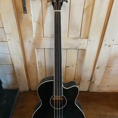 Acoustic Bass with strings