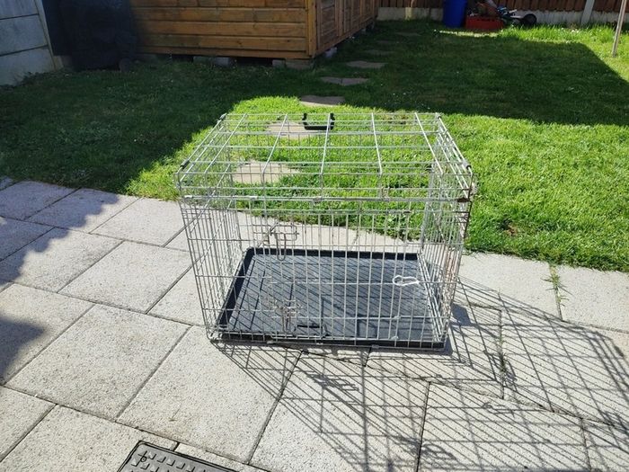 large dog crate