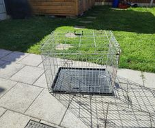 large dog crate