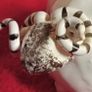 Old Ram  ( Ornament/ Figurine  ) Image 8