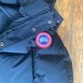 Canada Goose Image 2