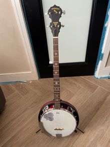 McBride 5 string case and picks