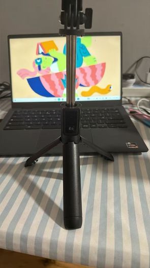 Bluetooth selfie stick