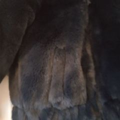 Girls navy faux fur coat
