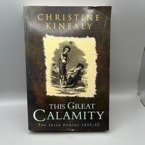 The Great Calamity - Christine Kinealy Book