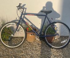 Adult Mountain Bike