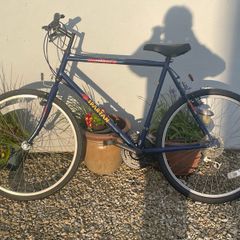 Adult Mountain Bike