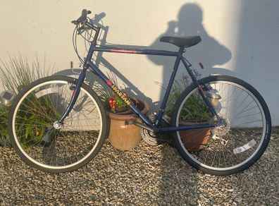 Adult Mountain Bike