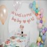 Gender Reveal Party Decoration Image 5
