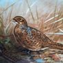 Oval pheasant scene plate Image 2