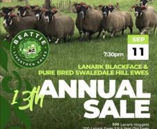 Friday 11th September 7:30pm