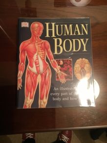 Guide to The Human Body - structure function and disorders