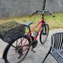Bike - Trek Verve 2 Image 5