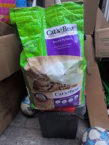 cat litter -