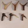 hiking stick handles Image 3