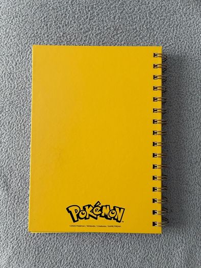 Pokemon books