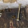 Beehive with bees in Kilkenny Image 3