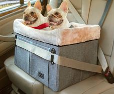 Dog booster car seat