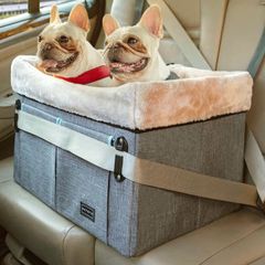 Dog booster car seat