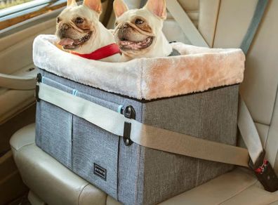 Dog booster car seat