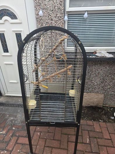 bird cage