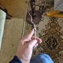 Vintage  Large Tall Lamp with Large Shade Image 9