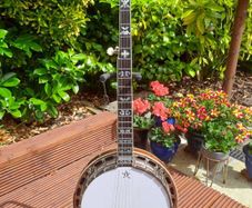 Goldstar FE 100 5 string banjo
