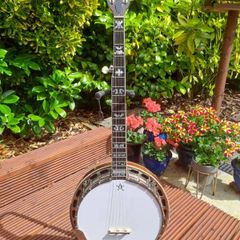 Goldstar FE 100 5 string banjo