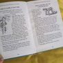 Boys Book of how to be the best at Everything Image 7