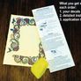Feather & Flint Native American Indian art decal/sticker/art transfer for children's room Image 4