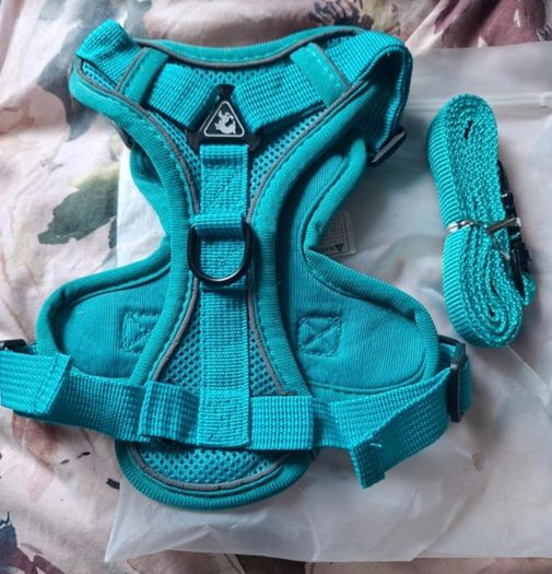 Brand New Large Cat Backpack Harnass & Leads