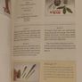 Ikebana Style: 20 Portable Flower Arrangements Perfect for Gift-Giving (Make Good: Japanese Craft Style) Image 4