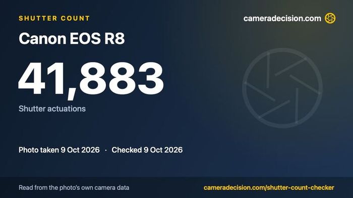 Canon EOS R8, Full Frame Camera, 4K 60p Video