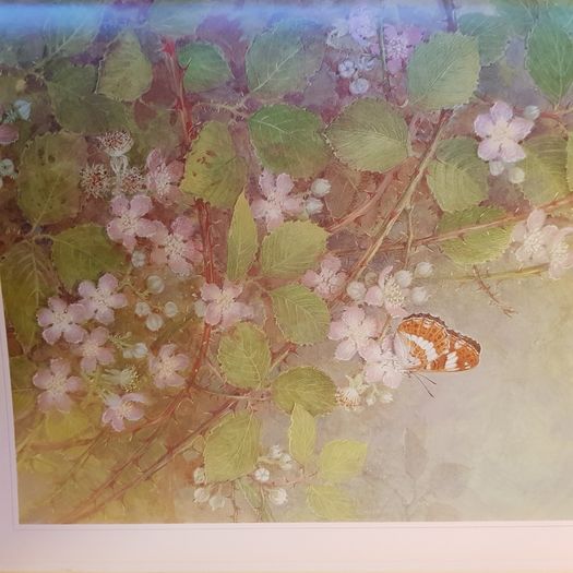 Beningfields Woodlands. Beautiful paintings by Gordan Beningfield of woodland and it birds and animals.