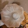 ceiling light Image 7