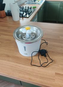 cat fountain