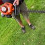 hedge trim Image 3
