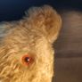 25" 1930's Fully Articulated Mohair Teddy Bear Image 8
