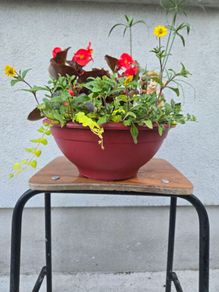 Small flower bowl