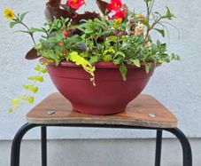 Small flower bowl