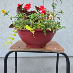 Small flower bowl