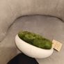 Moss and Sweetpea faux plant from M&S Image 4