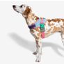 Dog Harness Image 3