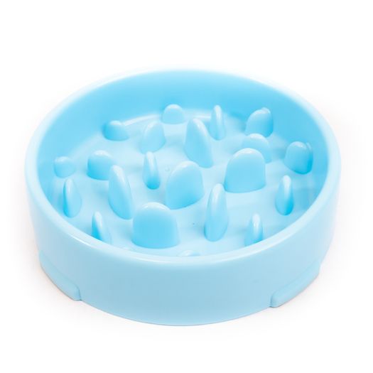 Slow Feeder Dog Bowl