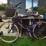 ladies Ammeco bike Image 2