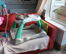 baby walker
