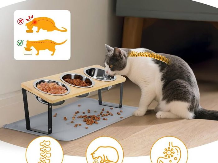 Cat Bowls with Stand & Feeding Mat, 3Pcs Deep Stainless Steel Food Bowls (500ml) for Pet