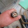 armored  cable Image 2