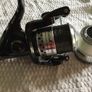 Sanger Reels Image 3