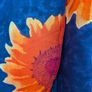 Vintage wrap around skirt - size M - beachwear or layering Image 2